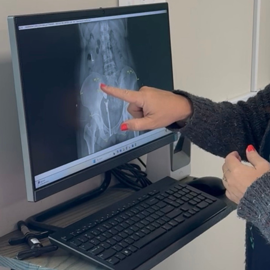 Magnolia Tribe Chiropractic X-Ray Doctor's Findings