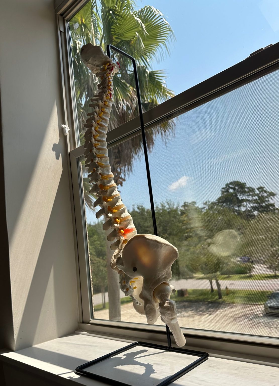 Magnolia Tribe Chiropractic Office Spinal Adjustments